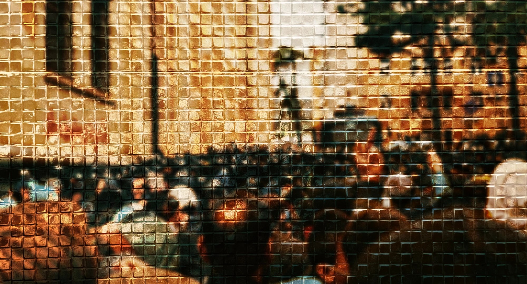 პროტესტი გიორგი მაისურაძე გიორგი ყოლბაია